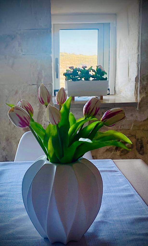 Mary Home Sicily Deluxe Ragusa Ngoại thất bức ảnh